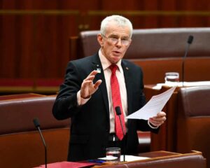 One Nation senator calls for total abortion ban, widening rift with party leadership IMG 1154