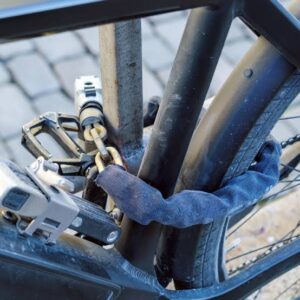 Retail Theft and E-Bike Crime Rise as Victoria Records First Crime Drop in Years IMG 1162