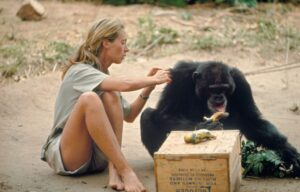08 jane feeding old 714