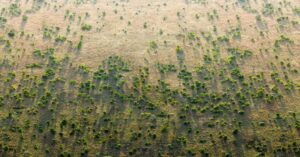 Africa Builds Green Wall to Restore Land and Fight Climate Change IMG 1869