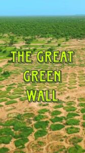 Africa Builds Green Wall to Restore Land and Fight Climate Change IMG 1870