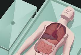 AUTOPSY: Before We Blame, Let Science Speak IMG 2141
