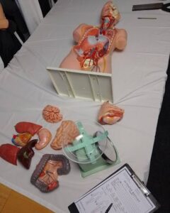 AUTOPSY: Before We Blame, Let Science Speak IMG 2142
