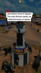 Father Tansi Has Waited Nearly 30 Years When Will Nigeria Have Its First Saint? IMG 2533
