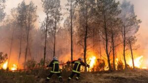 Wildfires Force Mass Evacuations, Disrupt Travel Across France and Spain IMG 2930