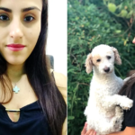 Woman dies after falling on wine glass during dinner party 1536x864 1