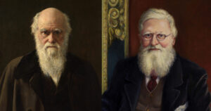 Darwin Wallace