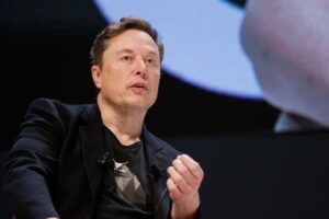 “Europe Will Keep Dying”: Musk Compares EU Births to Nigeria’s Population Boom IMG 3108