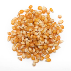 8 Foods That Can Last for Years images 2026 08 29T142410.379