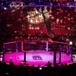 ufc octagon 1536x1024 1