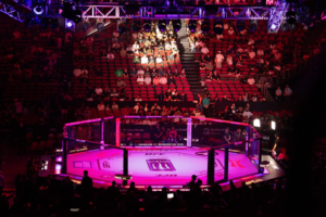 ufc octagon 1536x1024 1