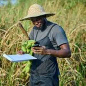 How Nigerian Farmers Can Sell Directly to Buyers Online IMG 4505