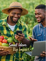 How Nigerian Farmers Can Sell Directly to Buyers Online IMG 4507