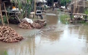 Flood Leaves 300 Homeless as 60 Houses Collapse in Ebonyi Community IMG 4574