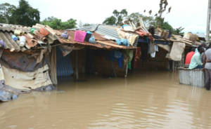 Flood Leaves 300 Homeless as 60 Houses Collapse in Ebonyi Community IMG 4576