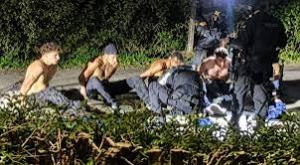 Five Arrested Near US Air Base in UK Terror Probe IMG 4736