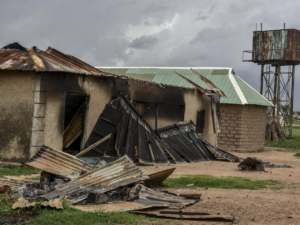 340 Homes, 186 Livestock Lost As Mambilla-Fulani Clash Leaves Many Dead IMG 4800