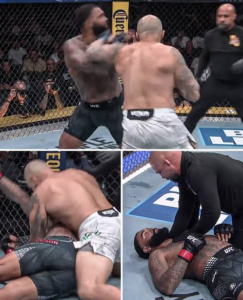 Gable Steveson Knocked Out in Just 12 Seconds in UFC 331 Return images 2026 09 20T150633.279