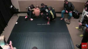 Jose Aldo Reveals the Real Reason He Cried After McGregor Loss 2F5AFC2000000578 0 image a 5 1450074348161