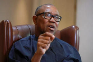 Peter Obi Will Win 2027 With or Without Igbos — Fayose IMG 5158