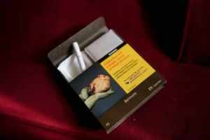 Could Canada Raise a Generation That Never Smokes? IMG 5655