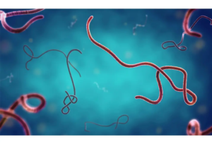Ebola Case Confirmed in Nigeria as Health Authorities Track 44 Contacts IMG 5724