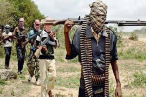 Zamfara Villagers Reportedly Fight Back, Kill Over 30 Bandits in Three-Day Battle IMG 5817