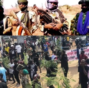 Taraba Attack: Death Toll Rises to 60 as Reps Demand Urgent Intervention IMG 6129 1