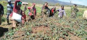 Rivers Disappear, Farms Fail as El Niño Drought Grips Papua New Guinea IMG 6135