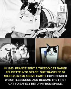 TODAY IN HISTORY - 18th Oct, 2026 - ORBITS NEWS images 2026 10 18T065604.440